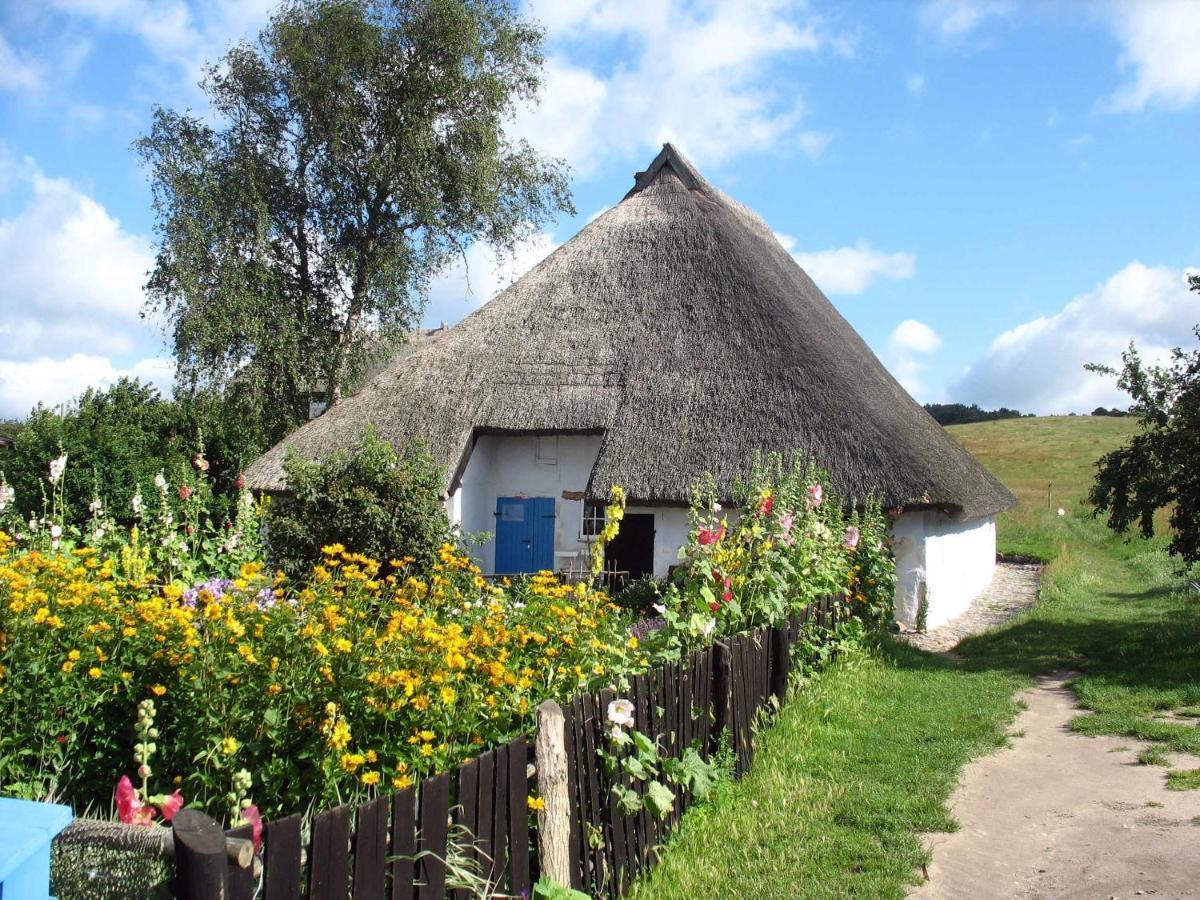 Ferienhaus Zum Boddenstrand Mit Ka Groß Zicker Esterno foto